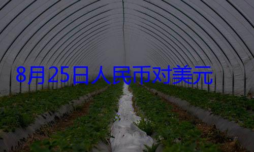点人民币对美160个基8月25日元中间价报1元 上调